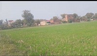 Mirzapur khel ka maidan